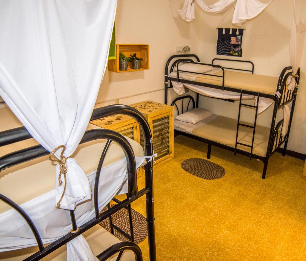 Bed 4-Bed Mixed Dormitory Room