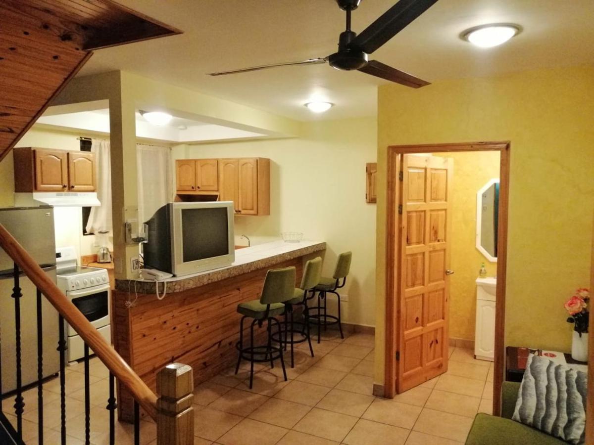 Duplex Apartment