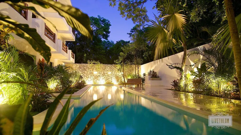 Livetulum-1