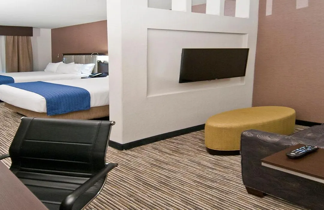 Holiday Inn Austin Airport By Ihg-1