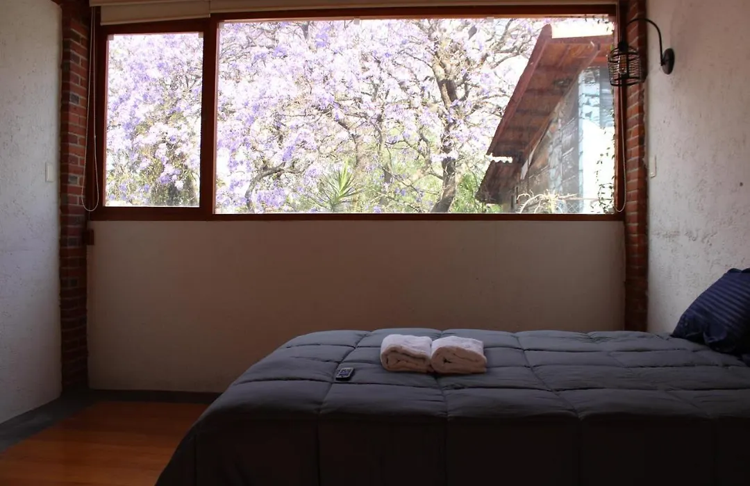 Casa Frida Coyoacan-1