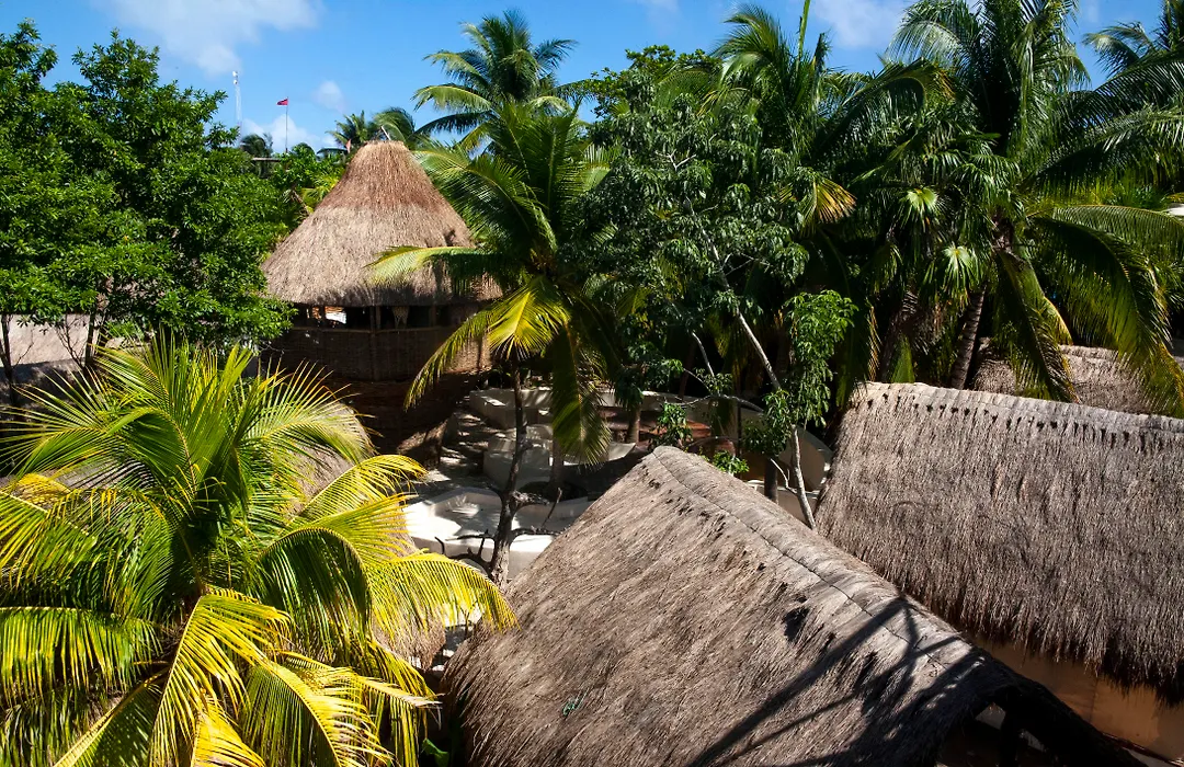 Hotel Serena Glamping Tulum (Adults Only)-1