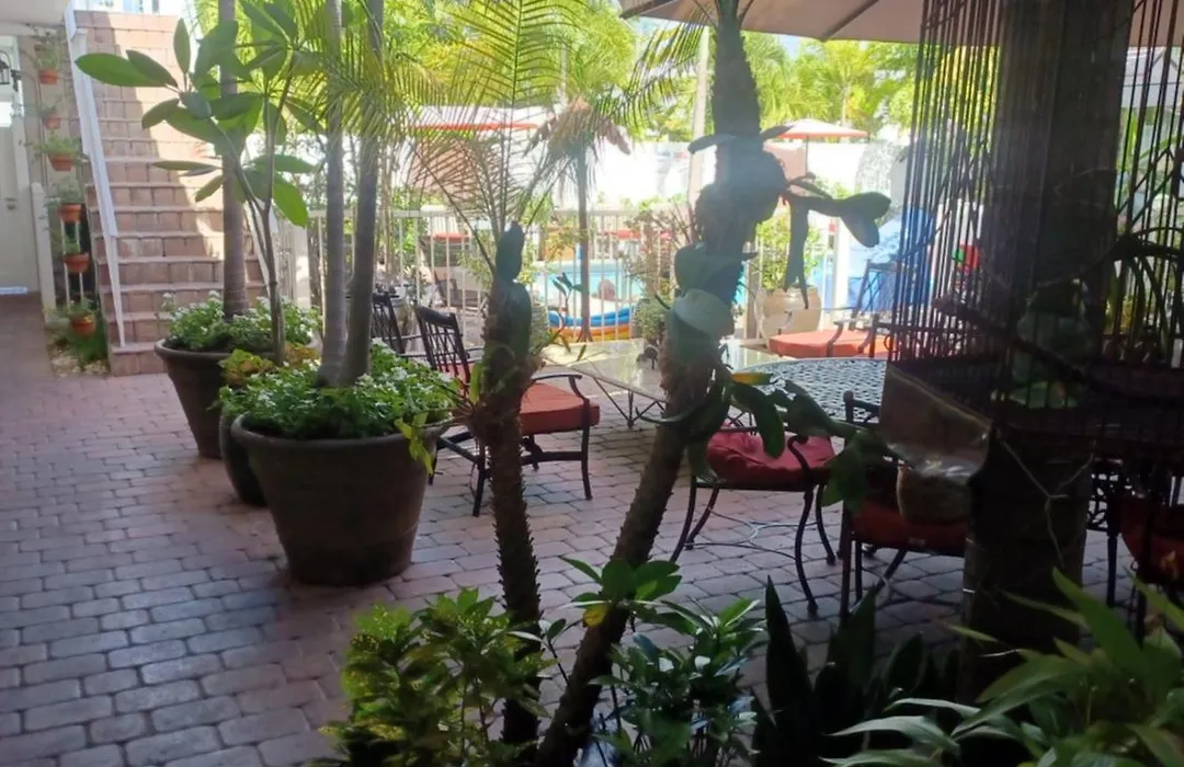 The Big Coconut Guesthouse - Gay Men'S Resort-1