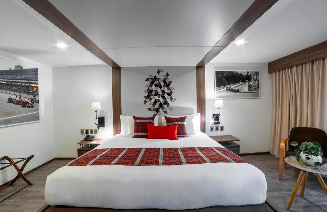 Flow Condesa - Adults Only-1