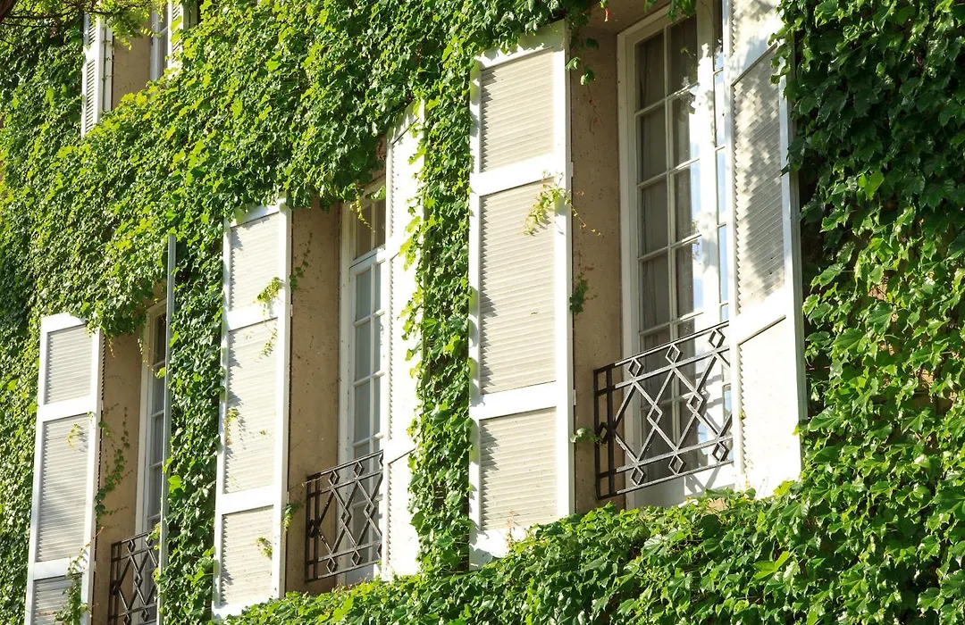 Hotel Boutique Le Reve-1