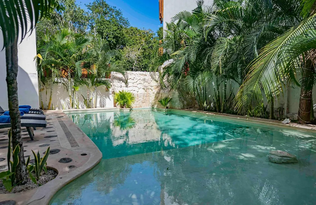 Niik Tulum-1