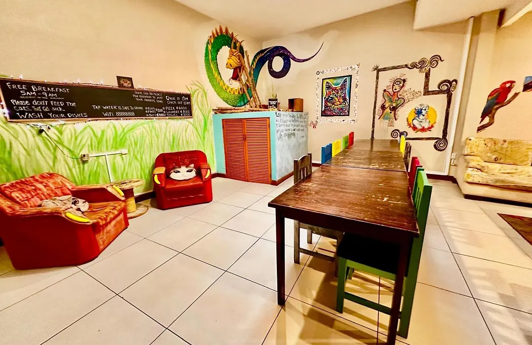Stray Cat Hostel-1