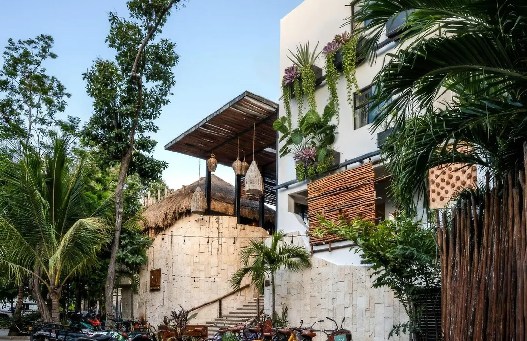 Mayan Monkey Tulum - Social Hostel (Adults Only)-1
