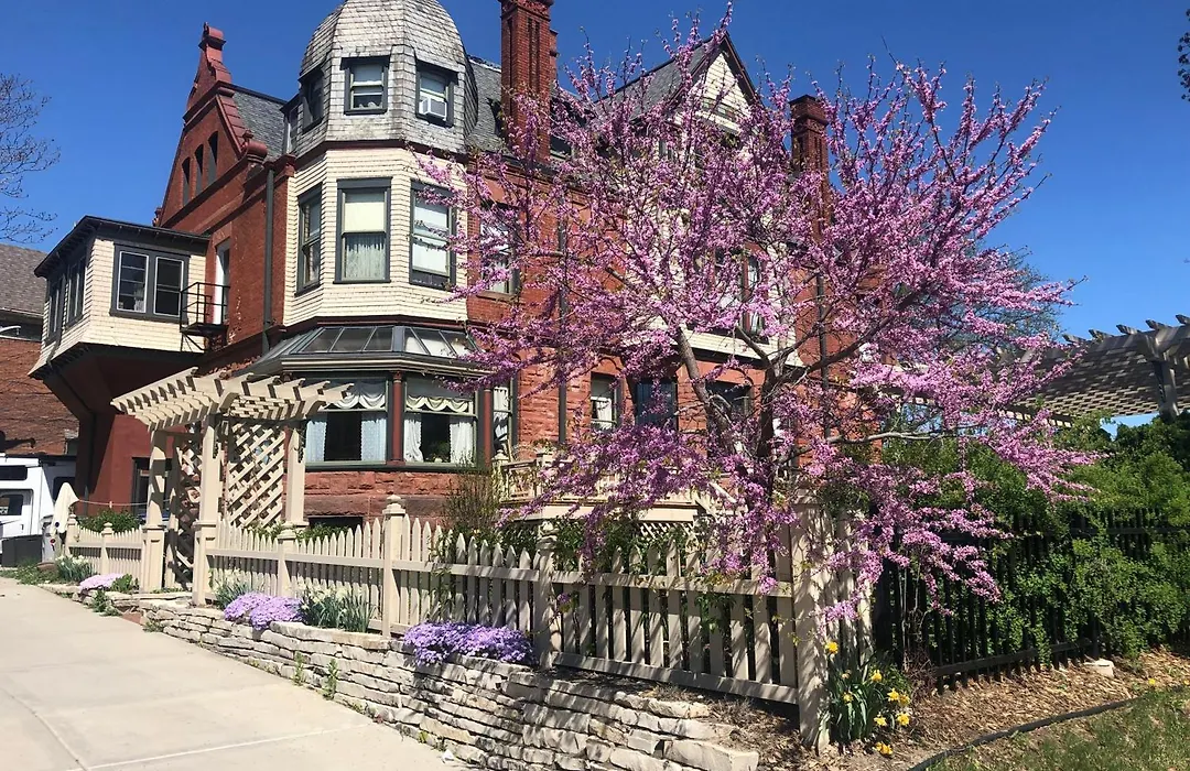 Schuster Mansion Bed & Breakfast-1