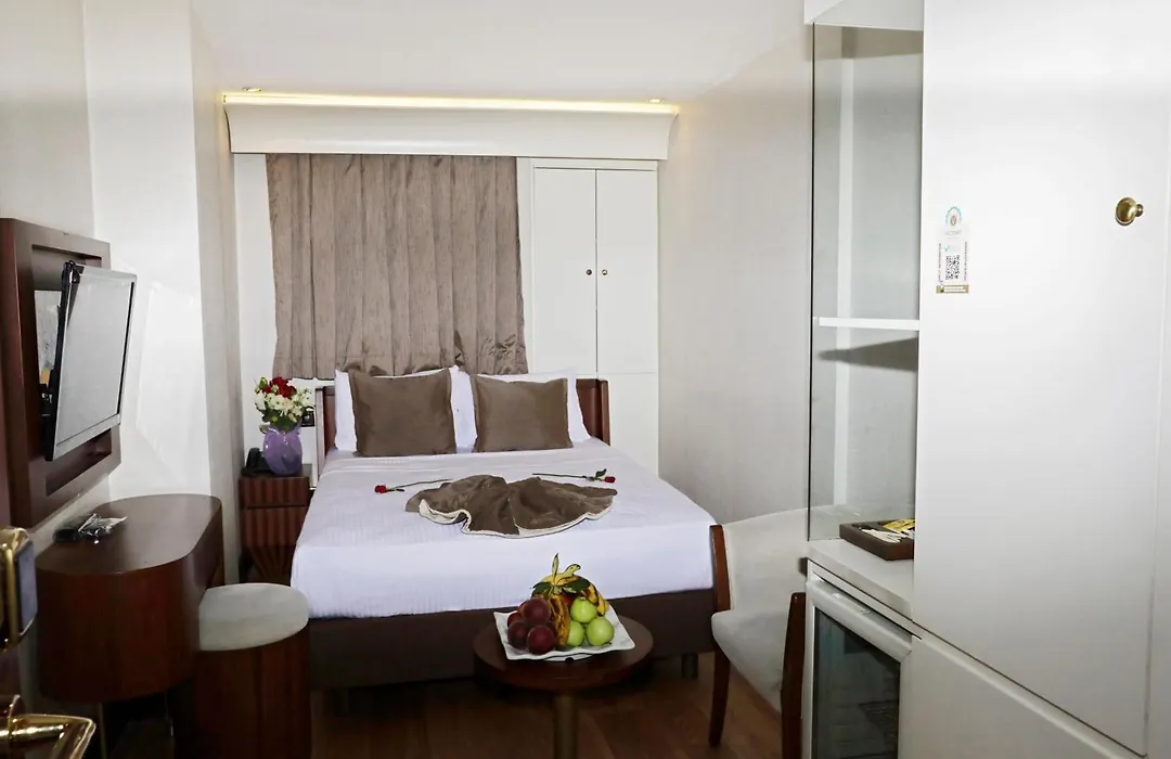 Victory Hotel & Spa Istanbul-1