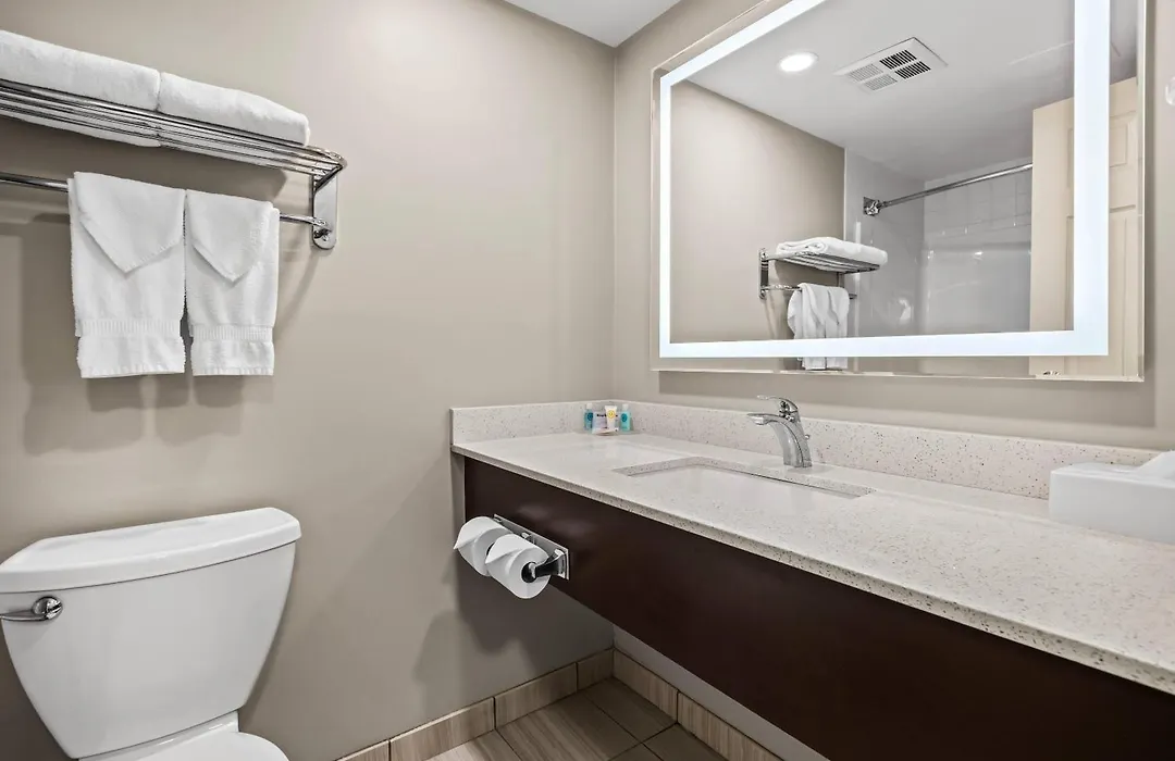 Comfort Inn & Suites Airport South-1