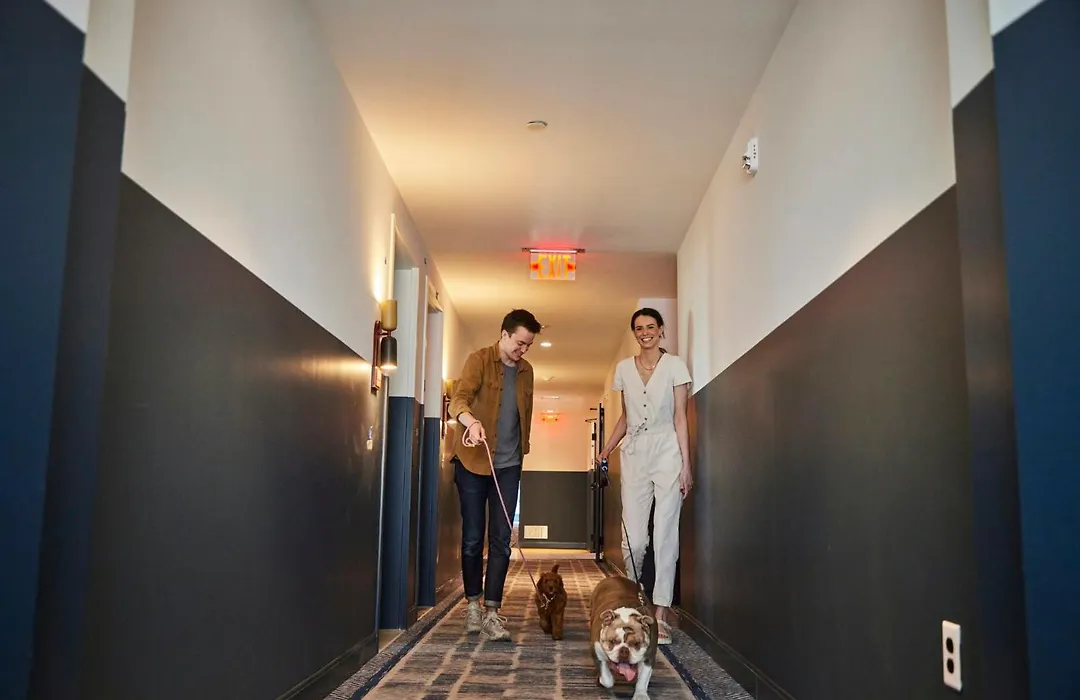 The Junto Hotel-1