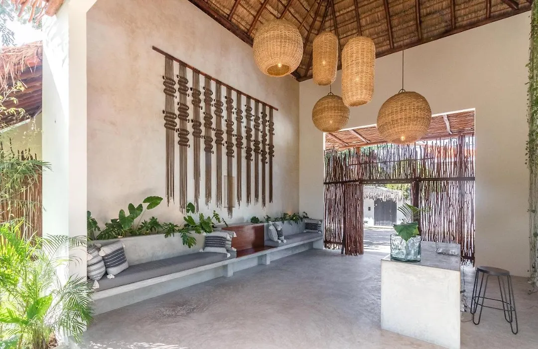 Zenses Wellness And Yoga Resort - Adults Only-1