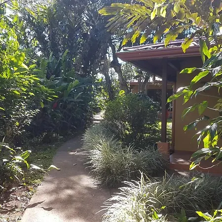 Tacacori Ecolodge-3