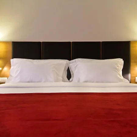 Sana Reno Hotel-3