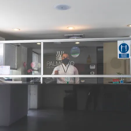Palmetto Hotel Business San Borja-2