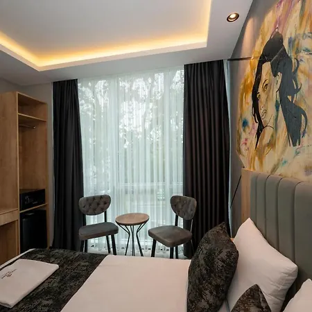 Comfort Point-3