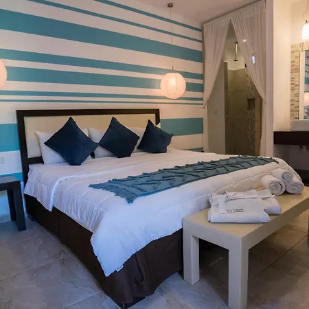 Posada Mariposa Boutique Hotel - 5Th Avenue-2