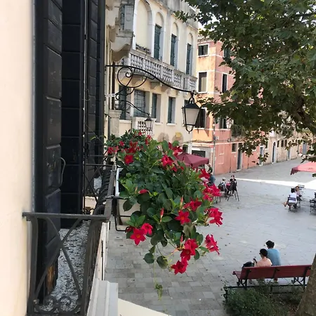 B&B Patatina-3