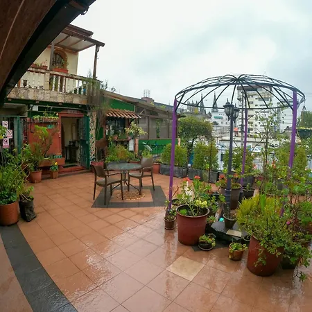 Art Plaza Boutique Hotel-3
