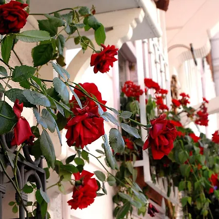 Darussaade Hotel Old City - Sultanahmet-2