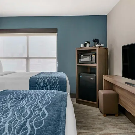 Comfort Inn & Suites Downtown Brickell-Port Of Miami-2