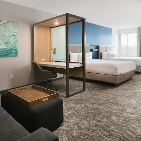 Springhill Suites Dallas Dfw Airport South/Centreport-2