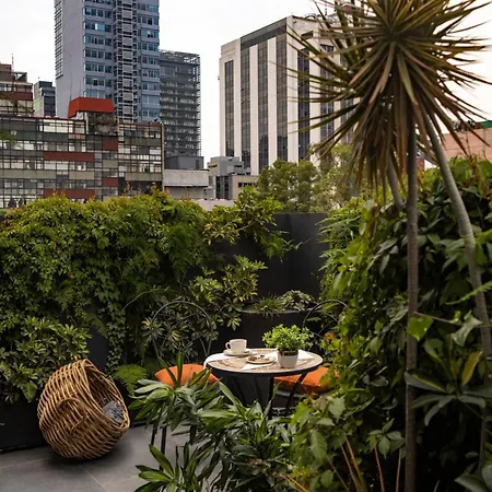 Reforma Guest House-3