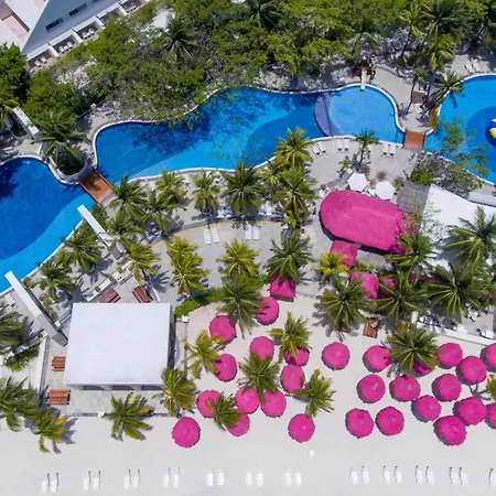 Oasis Palm-2