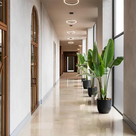 Hyatt Centric San Jose Escazu-2