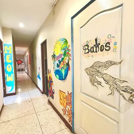 Stray Cat Hostel-3