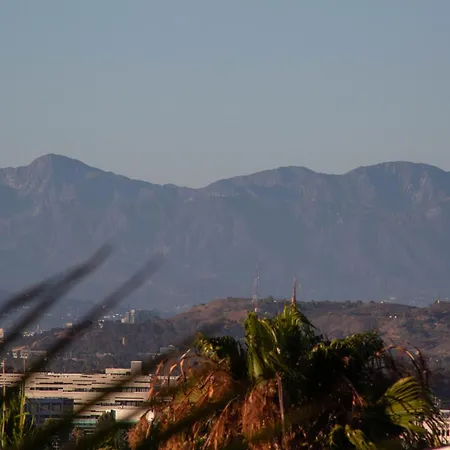 Overlooking Marina Del Rey Sailboats, Is Green Ginger Playa Del Rey On The Bluff,-3