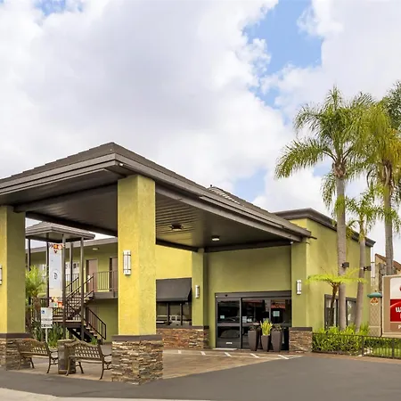 Best Western Plus Pavilions-3