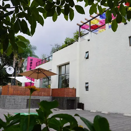 Hotel Consulado-2