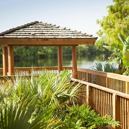 Marriott Orlando Airport Lakeside-3