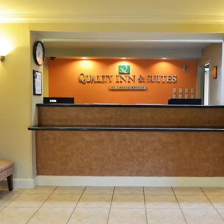 Quality Inn & Suites Nrg Park - Medical Center-3