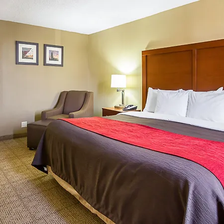 Comfort Inn Cleveland Downtown-2
