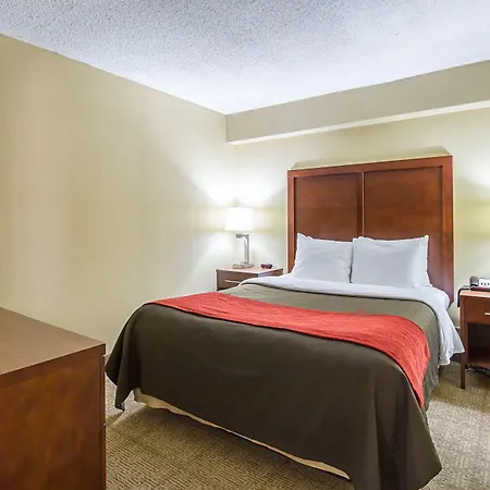 Comfort Inn Cleveland Downtown-3