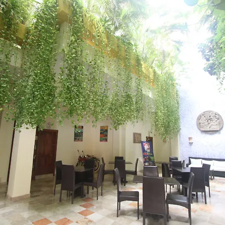 Hotel Los Itzaes By 5Th Av-2