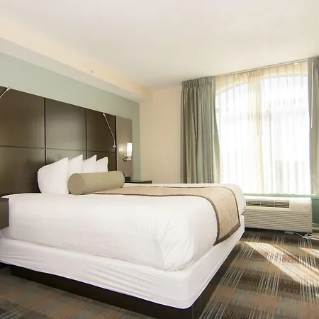 Wingate By Wyndham - Orlando International Airport- Free Hot Breakfast-3