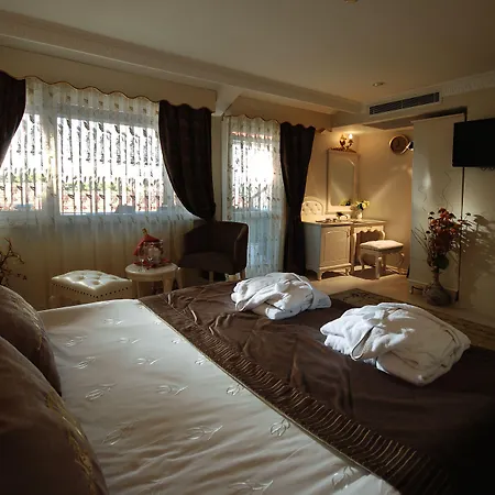 Hotel Nena Sultanahmet-3