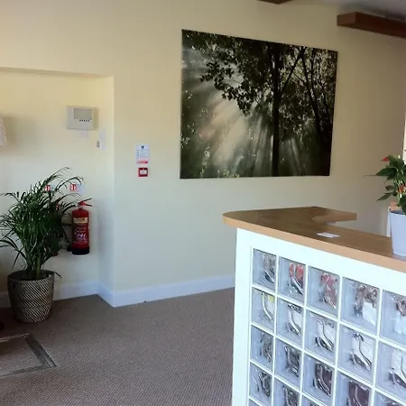 Lyall Apartment Hotel-3