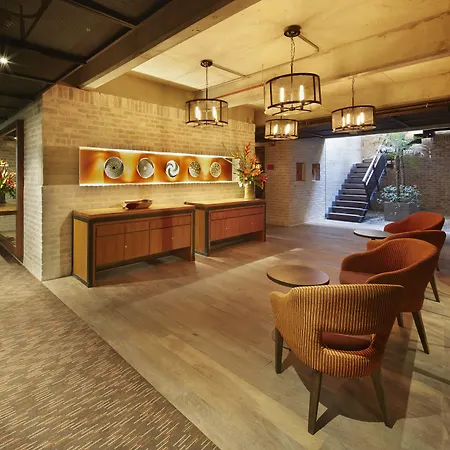 The Artisan D.C. Hotel, Autograph Collection-3