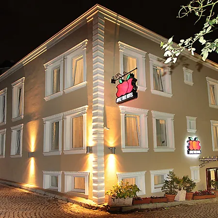 Apple Tree Hotel-2