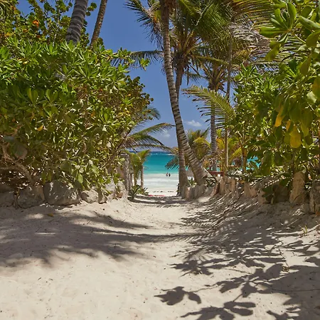 Dos Ceibas Tulum - Feel Good Hotel-2
