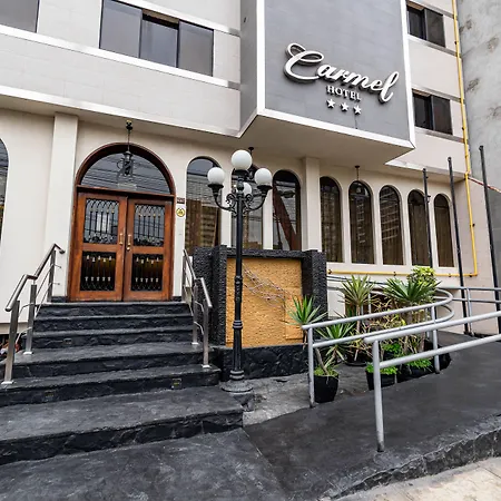 Hotel Carmel-2