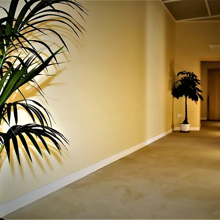 Maison Des Fleurs-2