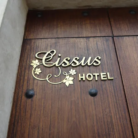 Cissus Hotel Boutique (Adults Only)-3
