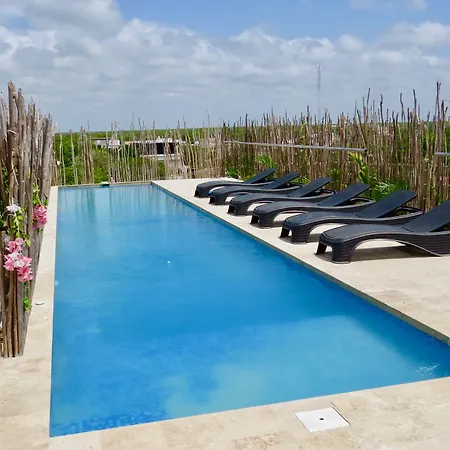 Hotel Carpe Diem Tulum By Nah Hotels-2
