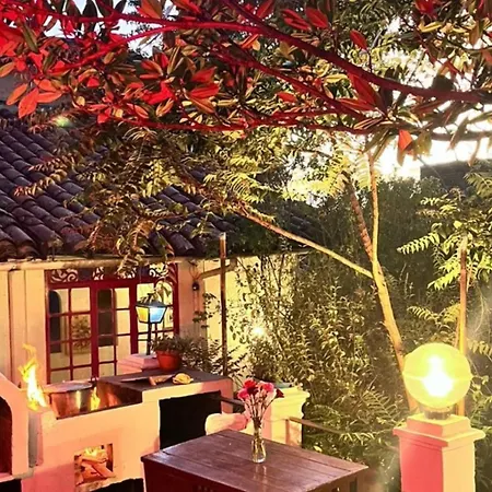 Botanico Hostel-3